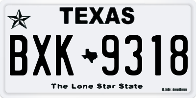 TX license plate BXK9318