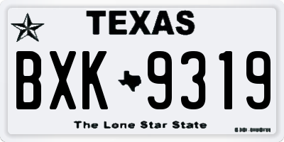 TX license plate BXK9319