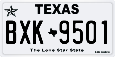 TX license plate BXK9501