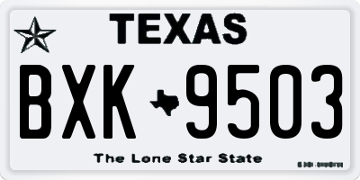TX license plate BXK9503