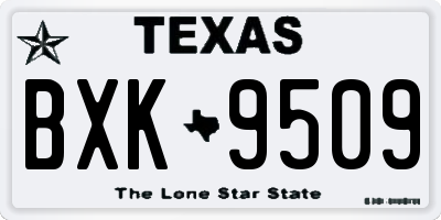 TX license plate BXK9509