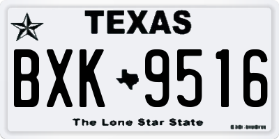 TX license plate BXK9516