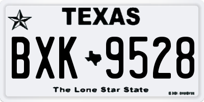 TX license plate BXK9528