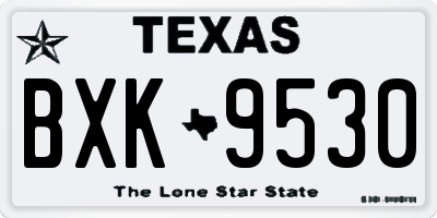 TX license plate BXK9530