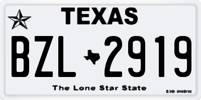 TX license plate BZL2919