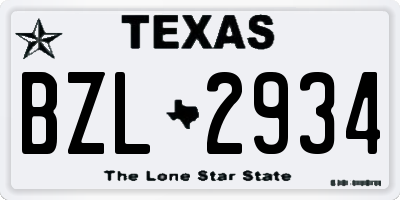 TX license plate BZL2934