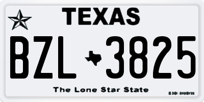 TX license plate BZL3825