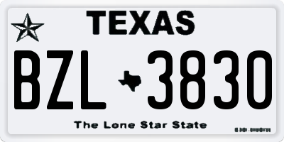 TX license plate BZL3830
