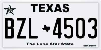 TX license plate BZL4503