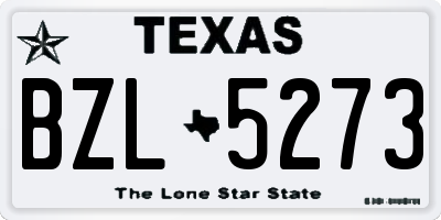 TX license plate BZL5273