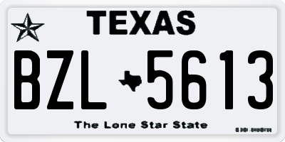 TX license plate BZL5613