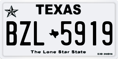TX license plate BZL5919
