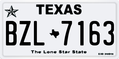 TX license plate BZL7163