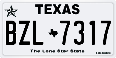 TX license plate BZL7317