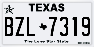 TX license plate BZL7319