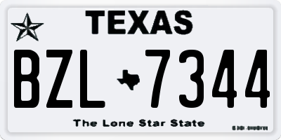 TX license plate BZL7344