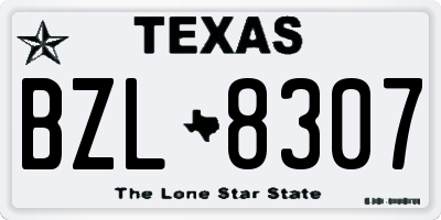 TX license plate BZL8307