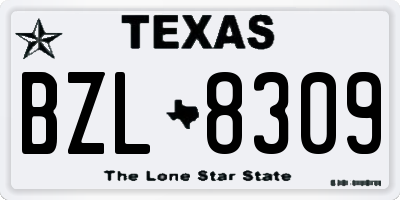 TX license plate BZL8309