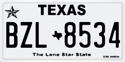 TX license plate BZL8534