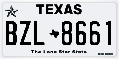 TX license plate BZL8661