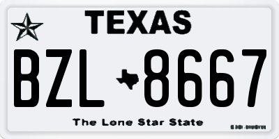 TX license plate BZL8667
