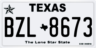 TX license plate BZL8673