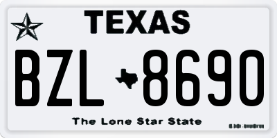 TX license plate BZL8690