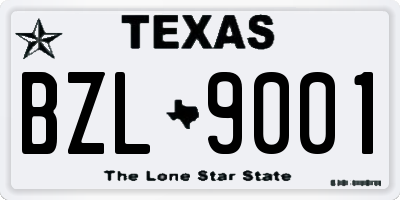 TX license plate BZL9001