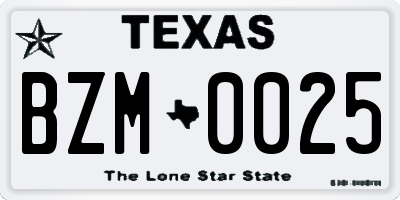 TX license plate BZM0025