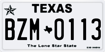 TX license plate BZM0113