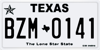 TX license plate BZM0141