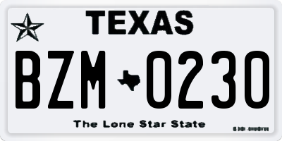 TX license plate BZM0230