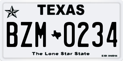 TX license plate BZM0234