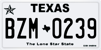 TX license plate BZM0239