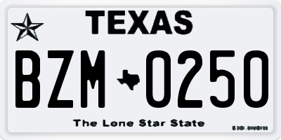 TX license plate BZM0250