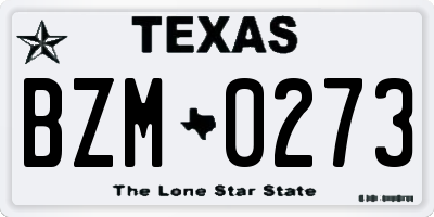 TX license plate BZM0273