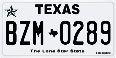 TX license plate BZM0289