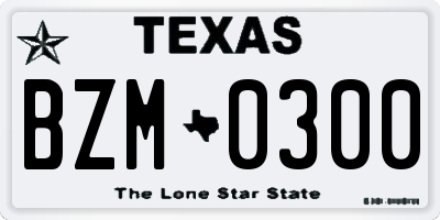 TX license plate BZM0300