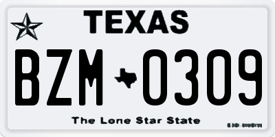 TX license plate BZM0309