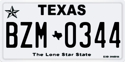 TX license plate BZM0344
