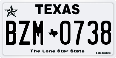 TX license plate BZM0738