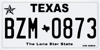 TX license plate BZM0873