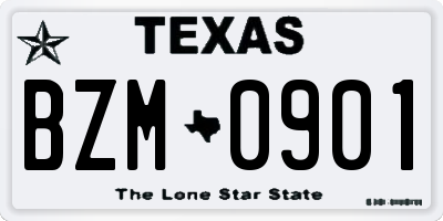 TX license plate BZM0901