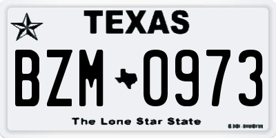 TX license plate BZM0973