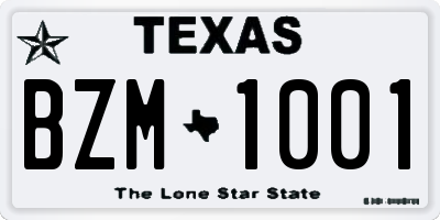 TX license plate BZM1001