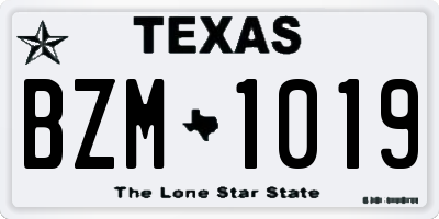 TX license plate BZM1019