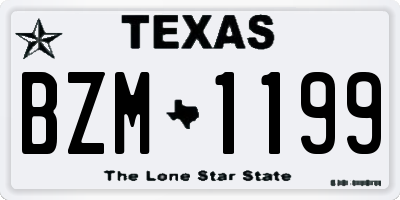 TX license plate BZM1199