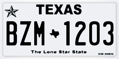 TX license plate BZM1203