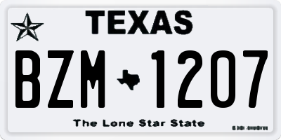 TX license plate BZM1207