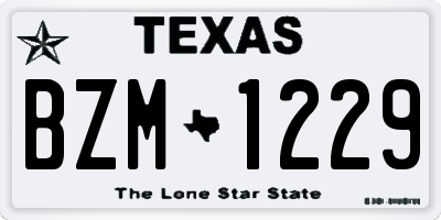 TX license plate BZM1229